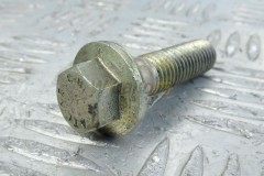 Camshaft screw  1104